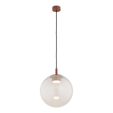 Argon 8829 - Pendel SACRAMENTO 1xGX53/8W/230V transparent/brun