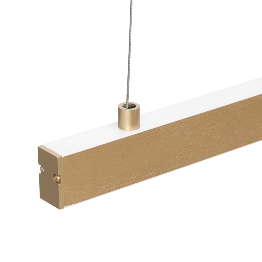 Argon 8836 - LED pendel MIAMI LED/37W/230V 3000K guldfarvet