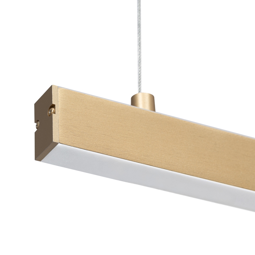 Argon 8836 - LED pendel MIAMI LED/37W/230V 3000K guldfarvet