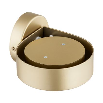 Argon 8899 - Væglampe LOTUS 1xGX53/12W/230V guld