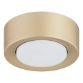 Argon 8903 - Loftlampe ELORA 1xGX53/7W/230V Ø 11 cm guld