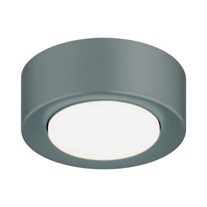 Argon 8917 - Loftlampe ELORA 1xGX53/7W/230V Ø 11 cm grå