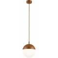 Argon 8998 - Udendørs pendel på kabel LIV 1xE27/15W/230V IP44 brun