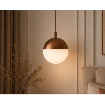 Argon 8998 - Udendørs pendel på kabel LIV 1xE27/15W/230V IP44 brun