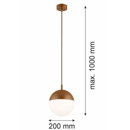 Argon 8998 - Udendørs pendel på kabel LIV 1xE27/15W/230V IP44 brun