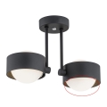 Argon - Erstatningsglas til lysekrone MASSIMO PLUS G9