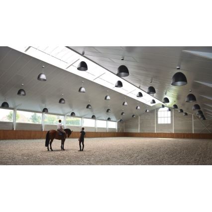 Artemide A242910 - Pendel NUR 2xR7s/11W/230V grå