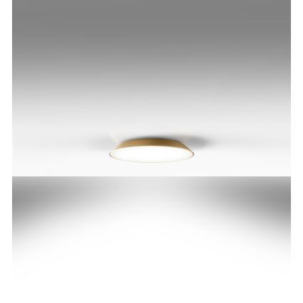 Artemide AR 0241320A - LED loftlampe FEBE 4xLED/30W/230V