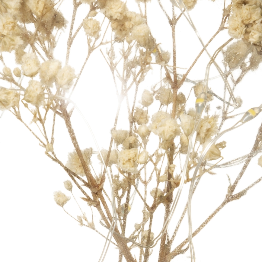 Atmosphera - LED-bordlampe MICRO LED/2xAAA antracit