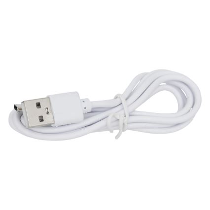 Atmosphera - Udendørs LED bordlampe m. RGBW-farver genopladelig ZACK LED/3,7V 1200 mAh IP44 turkis