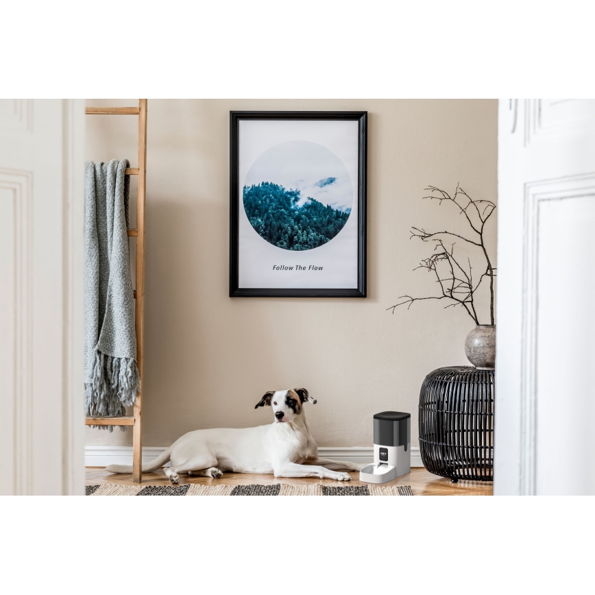 Automatisk foderdispenser med mikrofon 6l/230V Wi-Fi