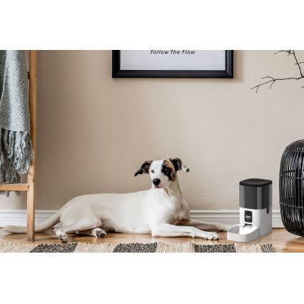 Automatisk foderdispenser med mikrofon og kamera 6l/230V Wi-Fi