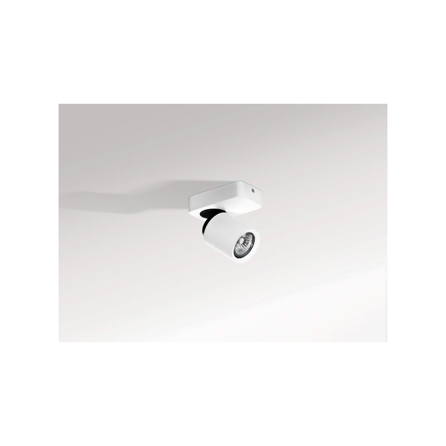 Azzardo AZ0662 - Spotlys TOMI 1xGU10/50W/230V
