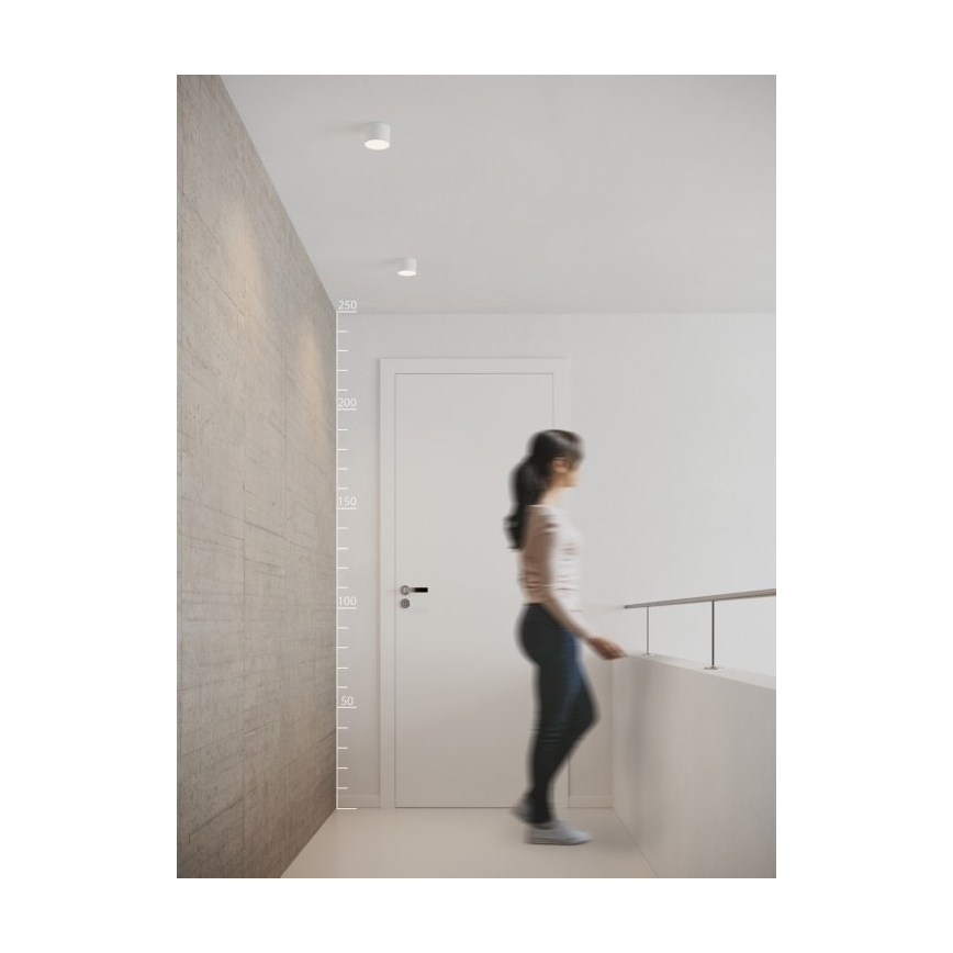 Azzardo AZ2253 - LED Loftlampe MONZA LED/5W/230V