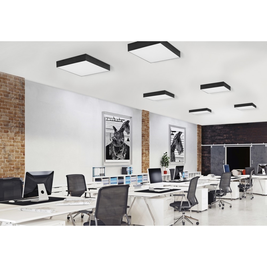 Azzardo AZ2274 - LED loftsbelysning MONZA SQUARE 1xLED/50W/230V
