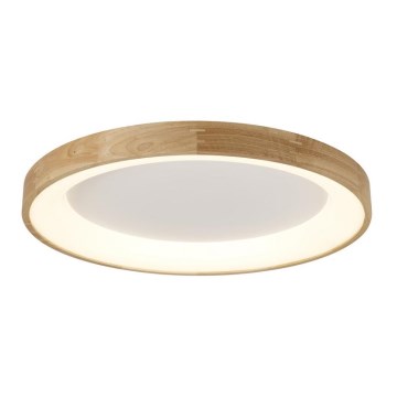 Azzardo AZ2698 - LED loftlampe SILVAM LED/50W/230V