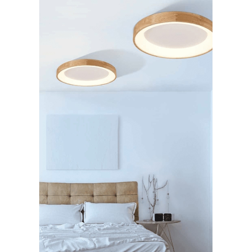 Azzardo AZ2698 - LED loftsbelysning SILVAM 1xLED/50W/230V