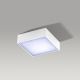 Azzardo AZ2781 - LED loftsbelysning FALCO LED/12W/230V