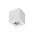 Azzardo AZ2822 - Loftlampe til badeværelse BRANT 1xGU10/50W/230V IP44