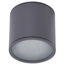 Azzardo AZ4057 - Udendørs loftlampe ALIX 1xGU10/50W/230V IP65 grå