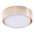 Azzardo AZ4390 - LED loftlampe til badeværelse KASTORIA LED/7W/230V IP44 guldfarvet