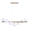 Azzardo AZ4409 - Loftlampe på kabel SYBILLA 7xG9/25W/230V i guld