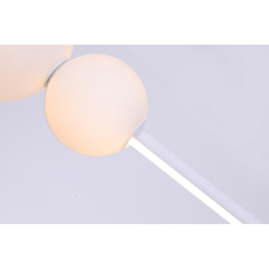 Azzardo AZ4426 - LED hængelampe dæmpbar SANDRA LED/48W/230V hvid
