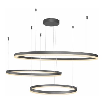 Azzardo AZ4707 - LED-pendel med wireophæng HALO LED/130W/230V sort