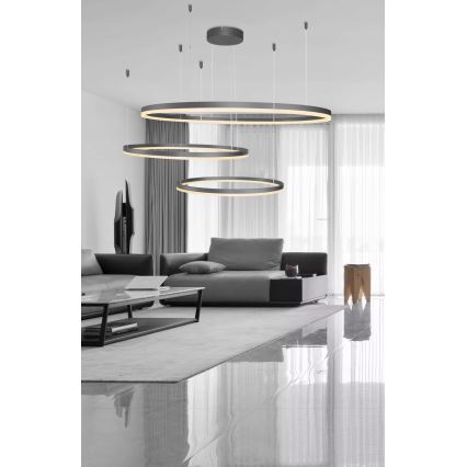 Azzardo AZ4707 - LED-pendel med wireophæng HALO LED/130W/230V sort