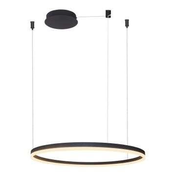 Azzardo AZ4960 - LED dæmpbar loftlampe på kabel HALO LED/54W/230V Ø 80 cm sort