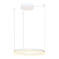 Azzardo AZ4967 - LED dæmpbar loftlampe på kabel HALO LED/47W/230V Ø 60 cm hvid