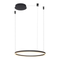 Azzardo AZ4968 - LED dæmpbar loftlampe på kabel HALO LED/47W/230V Ø 60 cm sort