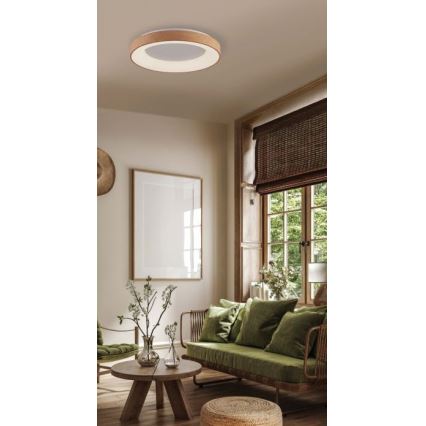 Azzardo AZ4989 - LED loftlampe SANTANA LED/30W/230V brun