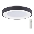 Azzardo AZ4991 - LED dæmpbar loftlampe SANTANA LED/50W/230V sort + fjernbetjening