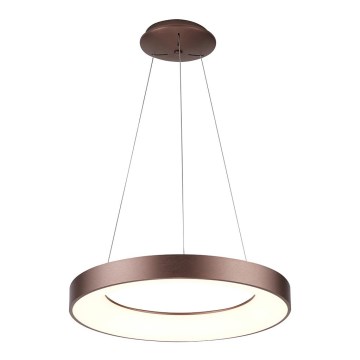 Azzardo AZ4998 - LED loftlampe på kabel SANTANA LED/30W/230V brun