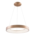 Azzardo AZ5000 - LED loftlampe på kabel SANTANA LED/30W/230V guld