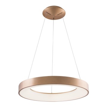 Azzardo AZ5000 - LED loftlampe på kabel SANTANA LED/30W/230V guld