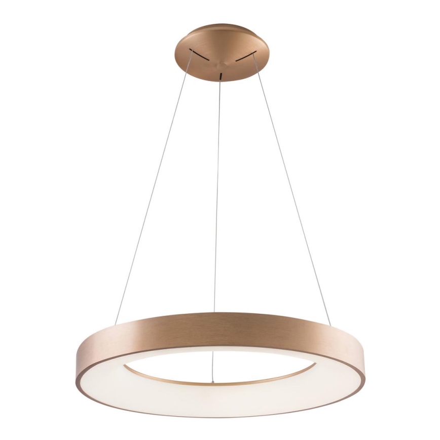 Azzardo AZ5000 - LED loftlampe på kabel SANTANA LED/30W/230V guld