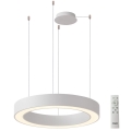 Azzardo AZ5052 - LED dæmpbar pendel på kabel MARCO LED/100W/230V hvid + fjernbetjening