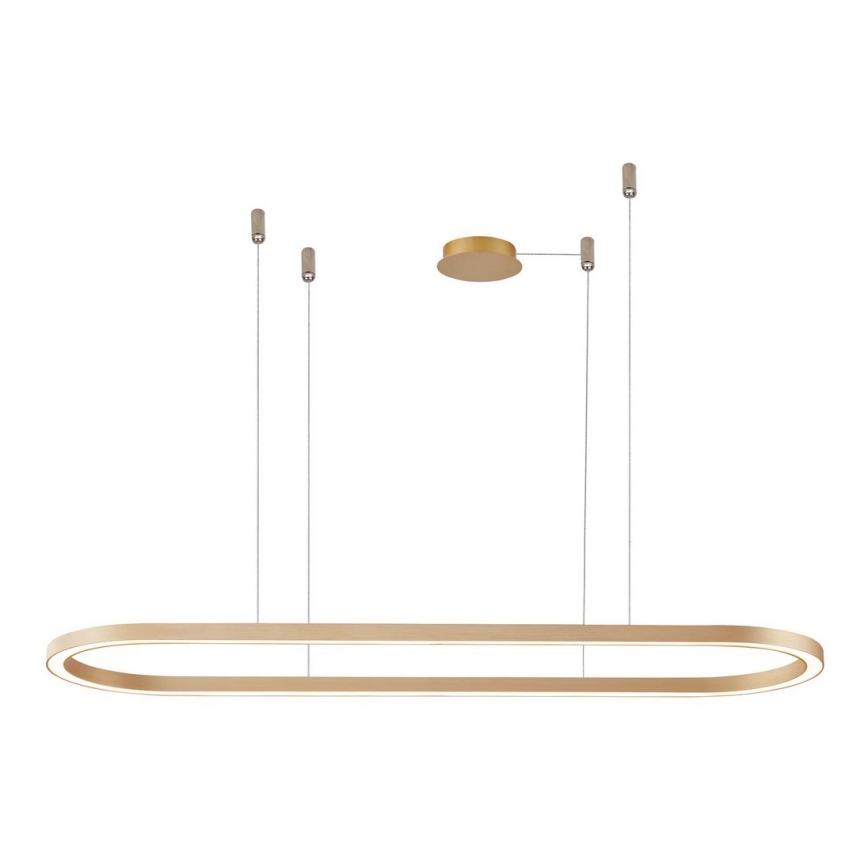 Azzardo AZ5056 - LED pendel dæmpbar ELENA LED/50W/230V 120 cm guldfarvet