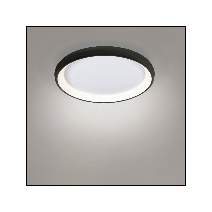 Azzardo AZ5072 - LED loftlampe dæmpbar ANTONIO LED/50W/230V sort + fjernbetjening