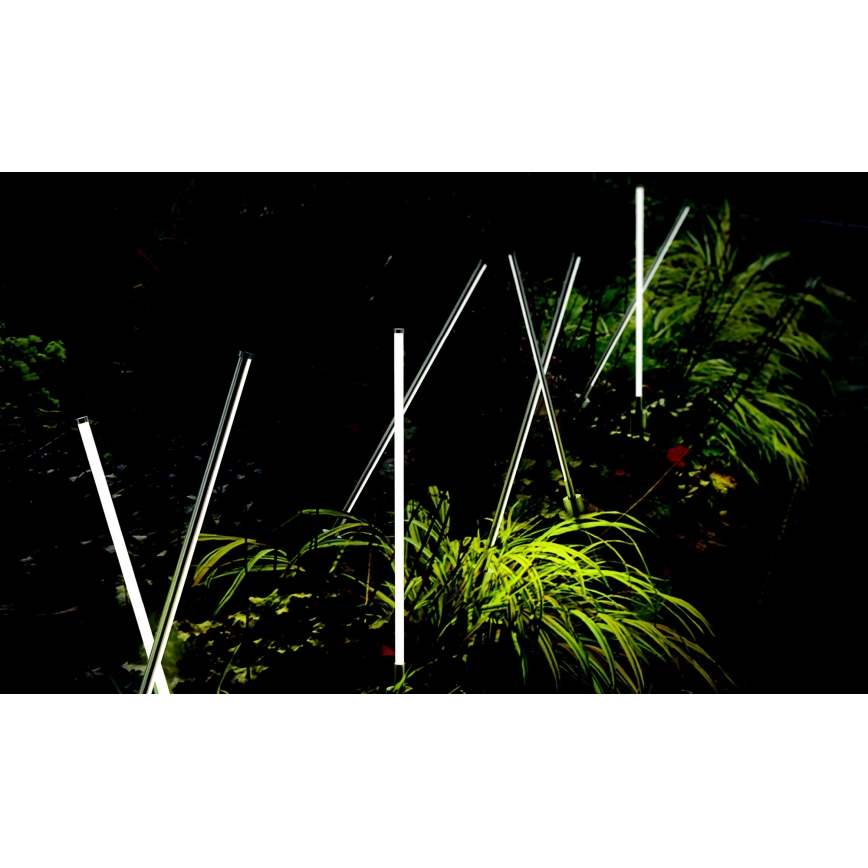 Azzardo AZ5337 - LED udendørslampe FREDO LED/6W/230V IP54 58 cm