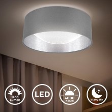 B.K. Licht 1308 - LED loftlampe LED/12W/230V