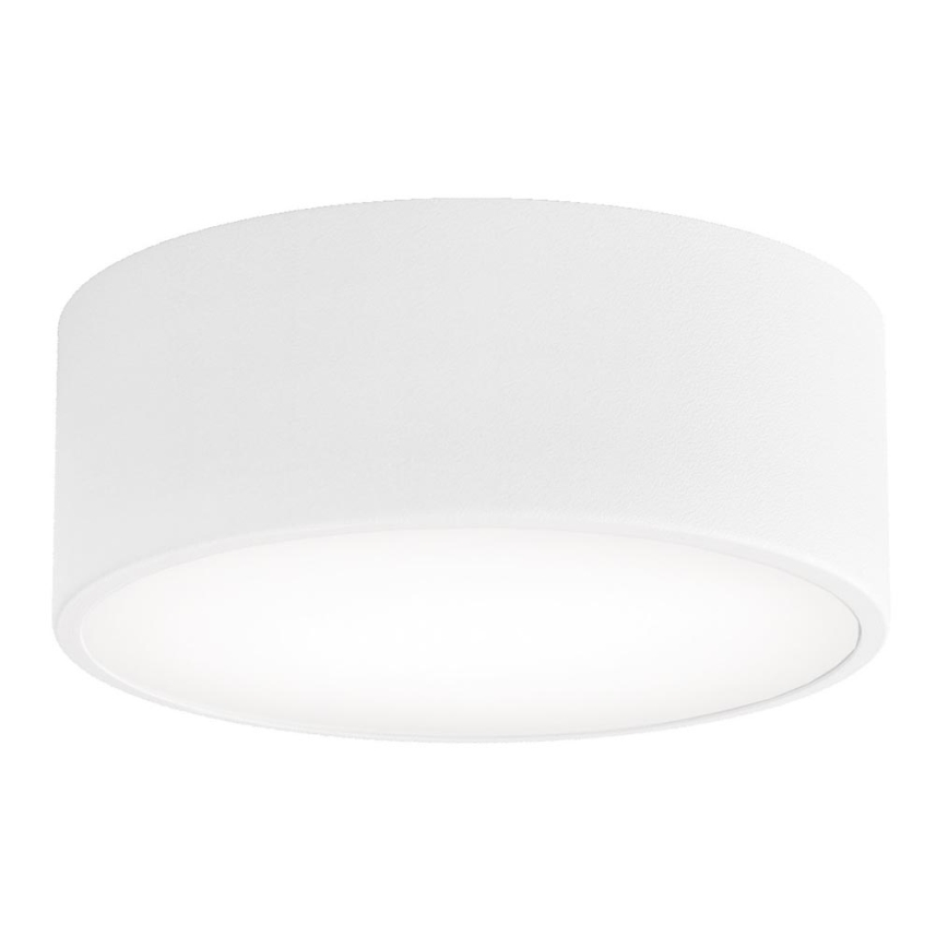 Badeværelsesloftlampe CLEO med sensor 1xE27/24W/230V Ø 20 cm IP54 hvid