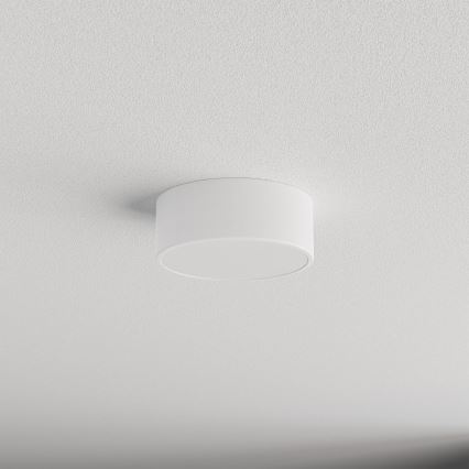 Badeværelsesloftlampe CLEO med sensor 1xE27/24W/230V Ø 20 cm IP54 hvid