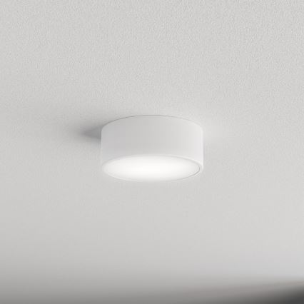 Badeværelsesloftlampe CLEO med sensor 1xE27/24W/230V Ø 20 cm IP54 hvid