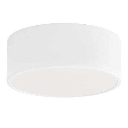 Badeværelsesloftlampe CLEO med sensor 1xE27/24W/230V Ø 20 cm IP54 hvid