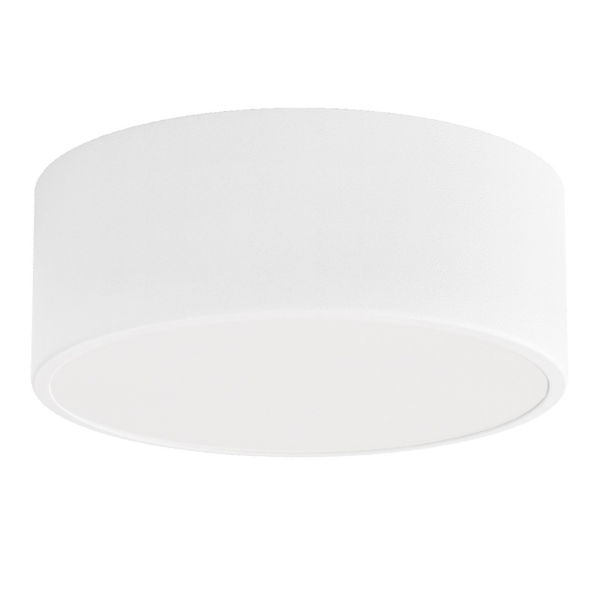 Badeværelsesloftlampe CLEO med sensor 1xE27/24W/230V Ø 20 cm IP54 hvid