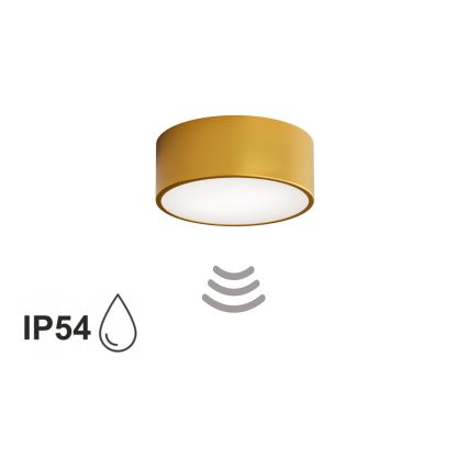 Badeværelsesloftlampe med sensor CLEO, 1xE27/24W/230V, Ø 20 cm, IP54, guld
