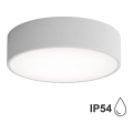 Badeværelsesloftlampe med sensor CLEO, 2x E27, maks. 24 W, 230 V, Ø 30 cm, grå, IP54